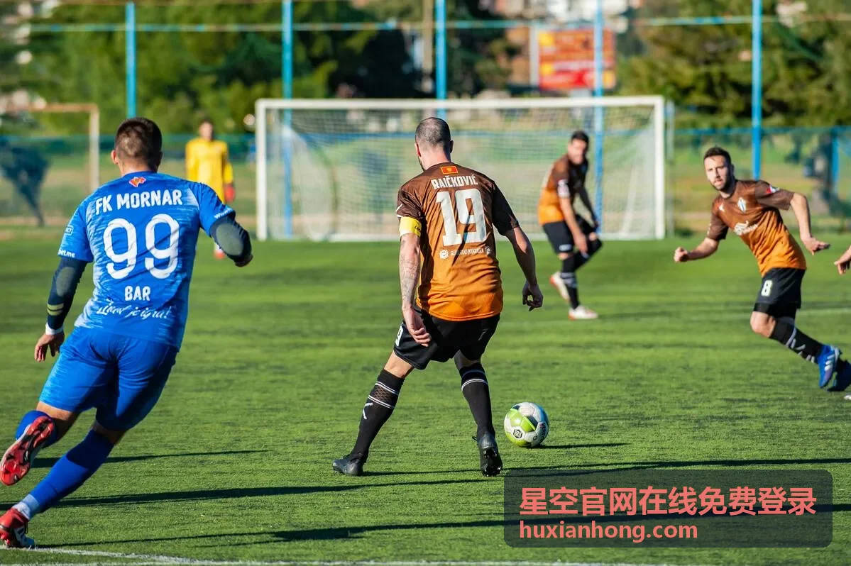 星空官网在线免费登录的界面主题与布局设置