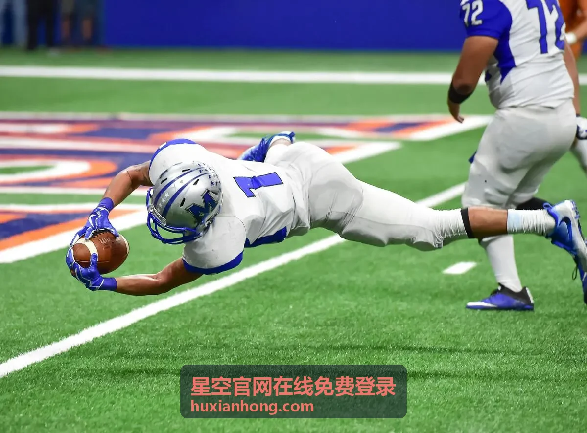 星空官网在线免费登录的消息推送与版本更新提醒