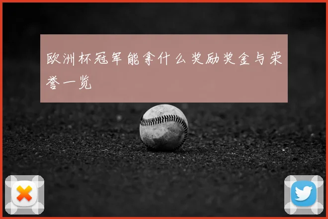 欧洲杯冠军能拿什么奖励奖金与荣誉一览