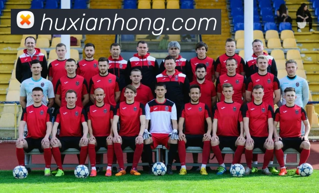 世界杯官网登录app平台生态图