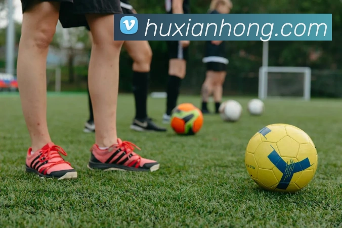 世界杯官网登录appAPP 封面图